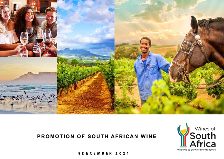 Discover the taste of South African Wine